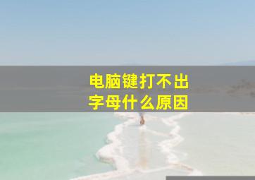 电脑键打不出字母什么原因