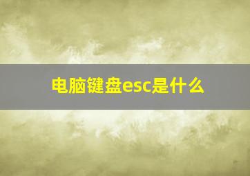 电脑键盘esc是什么