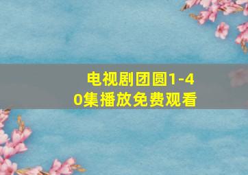 电视剧团圆1-40集播放免费观看