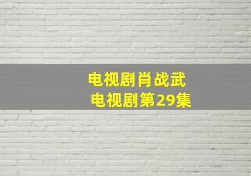 电视剧肖战武电视剧第29集