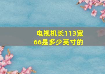 电视机长113宽66是多少英寸的