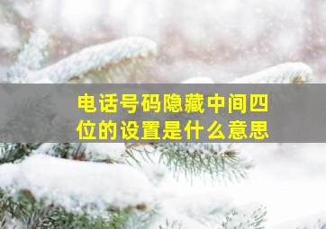 电话号码隐藏中间四位的设置是什么意思