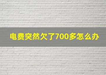 电费突然欠了700多怎么办