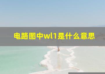 电路图中wl1是什么意思