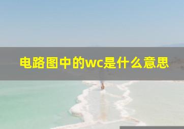 电路图中的wc是什么意思