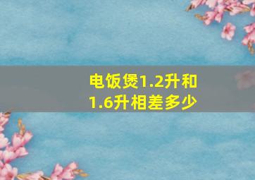 电饭煲1.2升和1.6升相差多少