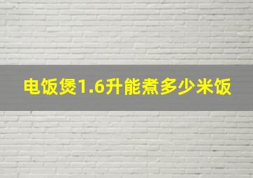 电饭煲1.6升能煮多少米饭