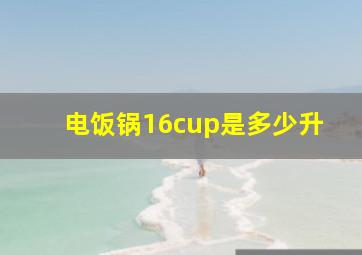 电饭锅16cup是多少升