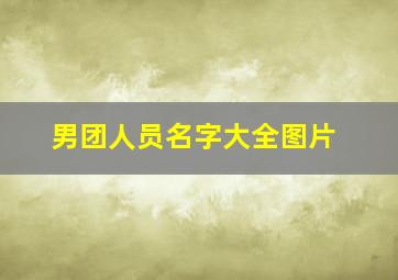 男团人员名字大全图片