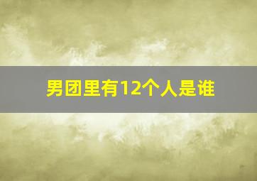 男团里有12个人是谁