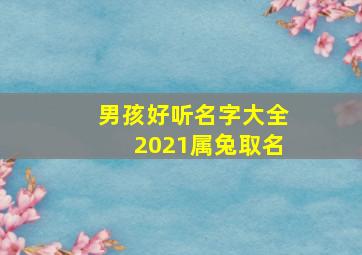 男孩好听名字大全2021属兔取名