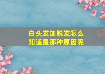 白头发加脱发怎么知道是那种原因呢