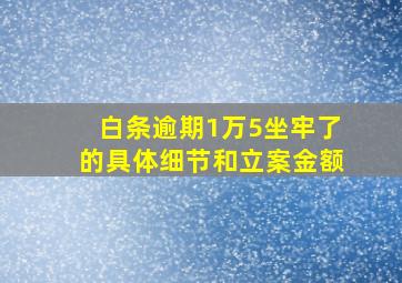 白条逾期1万5坐牢了的具体细节和立案金额