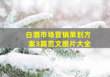 白酒市场营销策划方案3篇范文图片大全