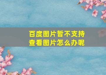 百度图片暂不支持查看图片怎么办呢