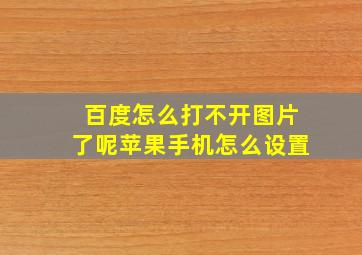 百度怎么打不开图片了呢苹果手机怎么设置