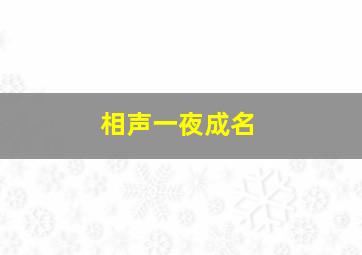 相声一夜成名