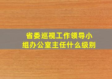 省委巡视工作领导小组办公室主任什么级别