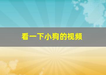 看一下小狗的视频