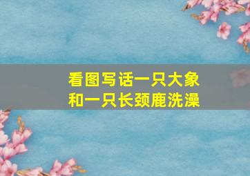 看图写话一只大象和一只长颈鹿洗澡