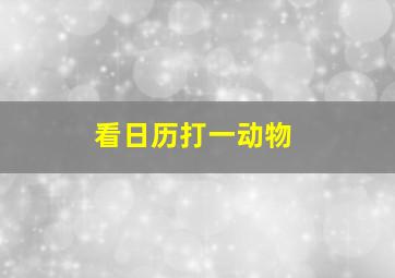 看日历打一动物