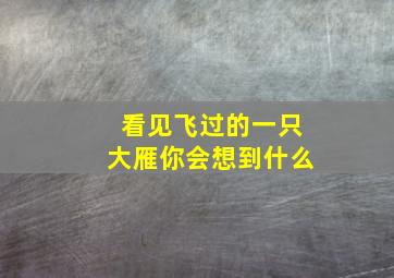 看见飞过的一只大雁你会想到什么