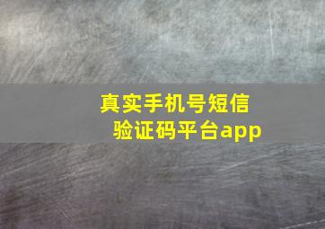 真实手机号短信验证码平台app