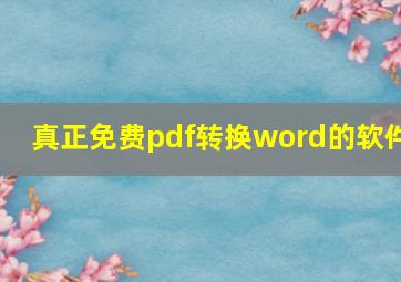 真正免费pdf转换word的软件