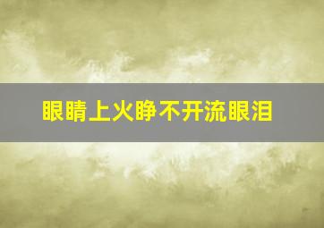 眼睛上火睁不开流眼泪