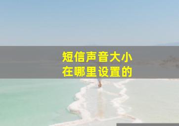 短信声音大小在哪里设置的