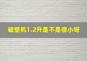 破壁机1.2升是不是很小呀