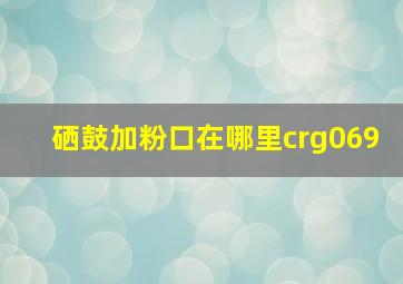 硒鼓加粉口在哪里crg069