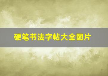 硬笔书法字帖大全图片