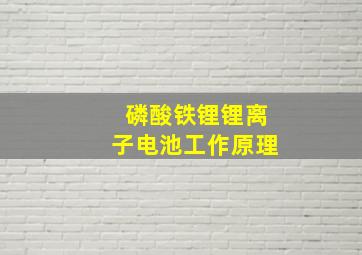 磷酸铁锂锂离子电池工作原理