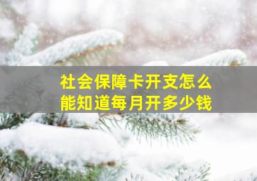 社会保障卡开支怎么能知道每月开多少钱