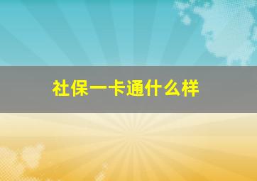 社保一卡通什么样