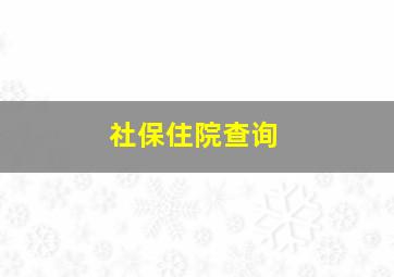 社保住院查询