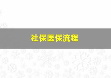 社保医保流程