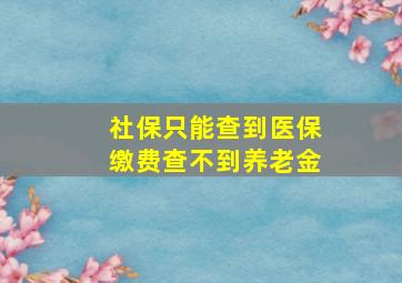 社保只能查到医保缴费查不到养老金