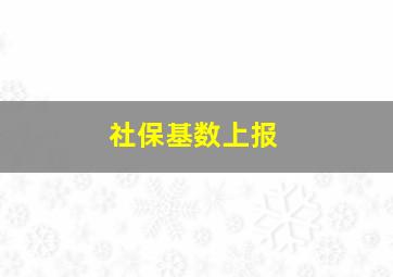 社保基数上报