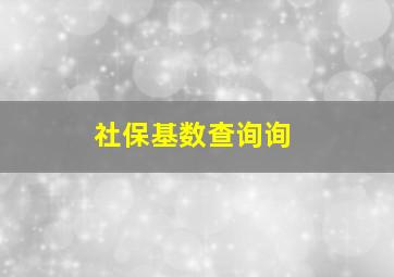 社保基数查询询