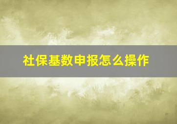 社保基数申报怎么操作