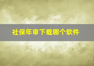 社保年审下载哪个软件