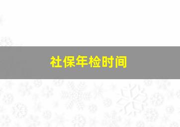 社保年检时间