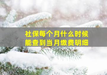 社保每个月什么时候能查到当月缴费明细