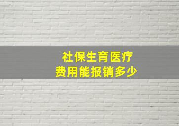 社保生育医疗费用能报销多少