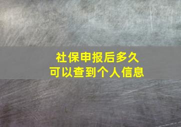 社保申报后多久可以查到个人信息