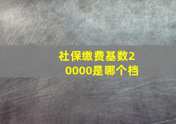 社保缴费基数20000是哪个档