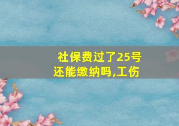 社保费过了25号还能缴纳吗,工伤