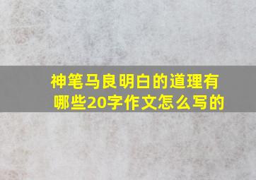 神笔马良明白的道理有哪些20字作文怎么写的